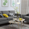 Living Room Furniture
